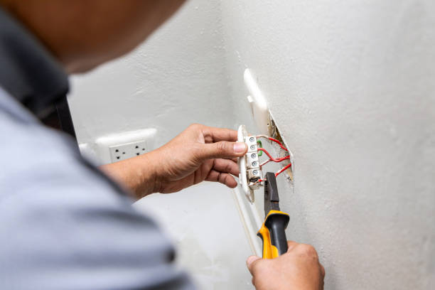 Best Electrical Repair Services  in Beaverton, MI